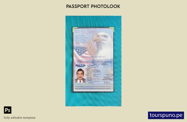 Plantilla de apariencia de foto de pasaporte de EE. UU. lista para imprimir